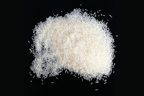 合肥高品质圆粒米厂家