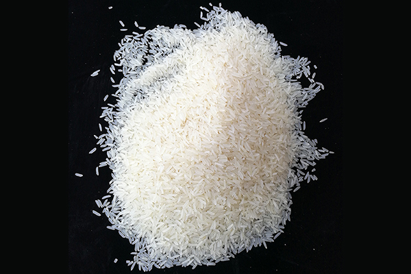 广东高品质香米价格