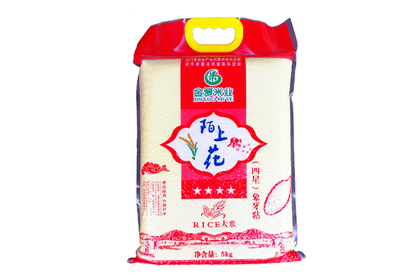 福建绿色长粒米批发