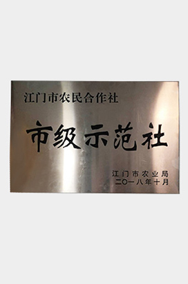 市级示范社