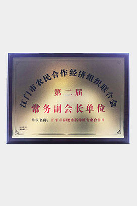 常务副会长单位