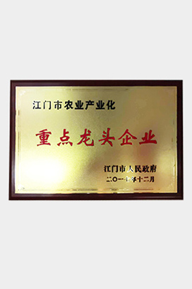 重点龙头企业