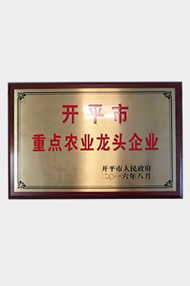 重点农业龙头企业