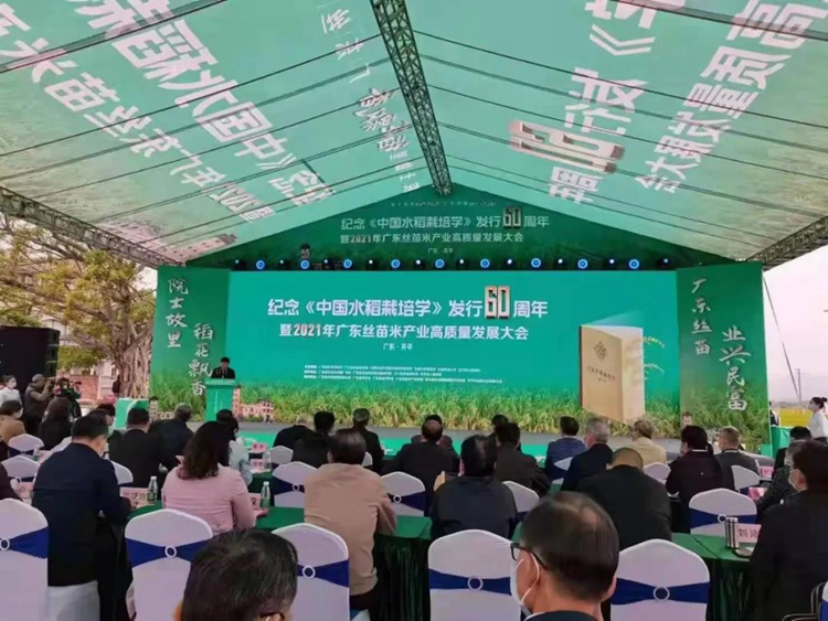 广东丝苗米