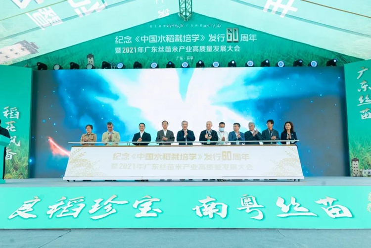 广东丝苗米