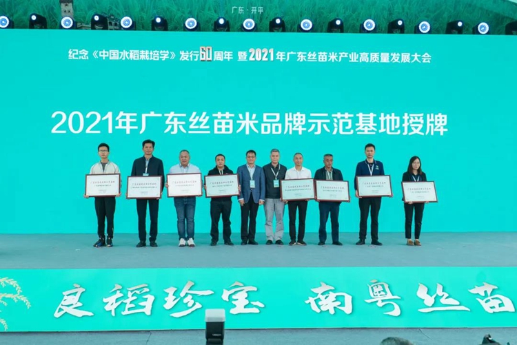 广东丝苗米