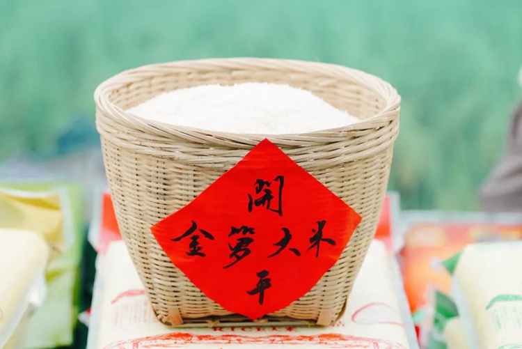 金箩大米