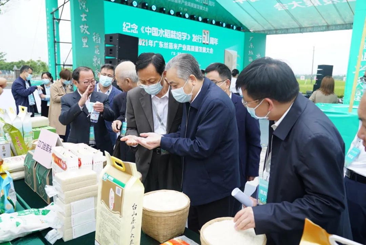 丝苗米文化节
